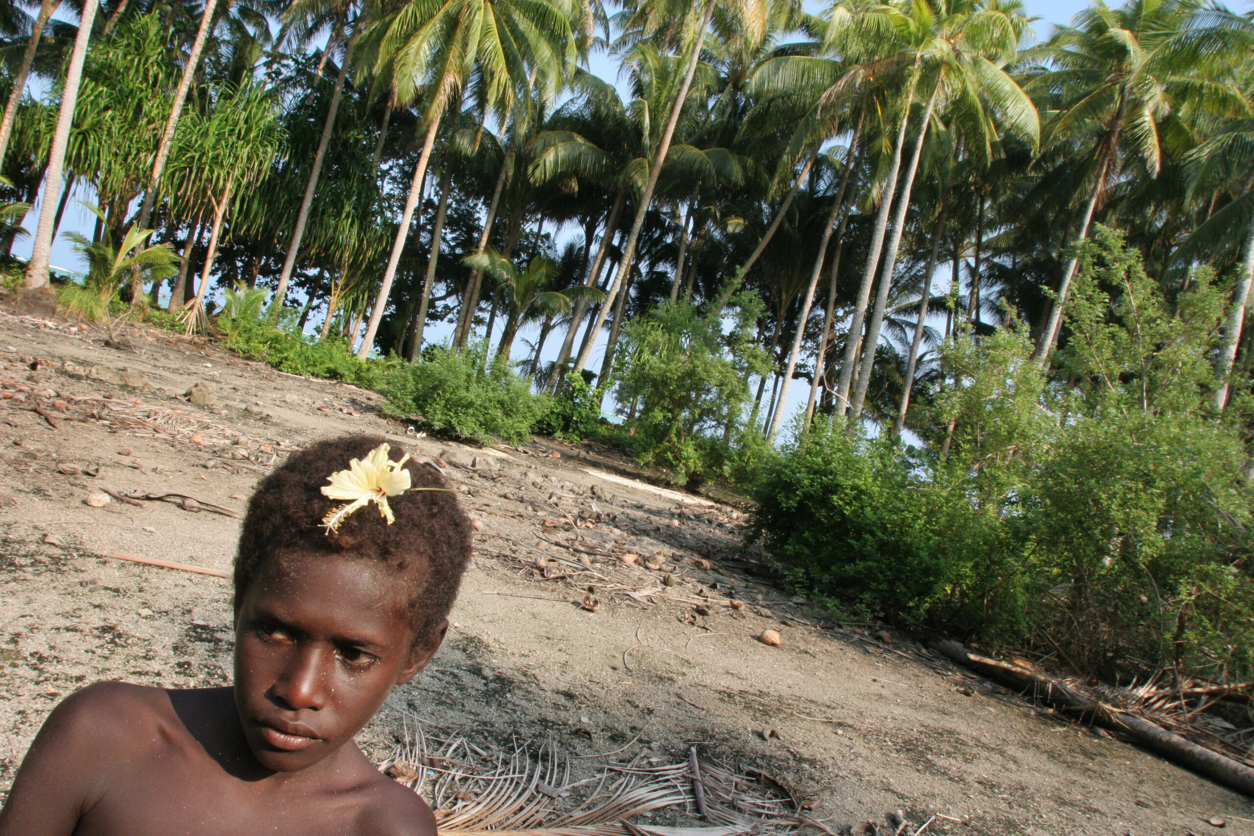 Jeremy Sutton Hibbert People Portrait Documentary Reportage Corporate Environmental CSR Social Enterprise Lifestyle Photographer Photography Local Regional Global Scottish Scotland Edinburgh Glasgow A child with a flower in his hair, in the "garden", an area formerly used for growing crops, but now barren and destroyed by salt sea water waves, on Puil Island, Carteret Atoll, Papua New Guinea, Rising sea levels have eroded much of the coastlines of the low lying Carteret islands situated 80km from Bougainville island, in the South Pacific and waves have crashed over the islands flooding and destroying what little crop gardens the islanders have. Food is in short supply, banana and swamp taro crops are failing due to the salt contamination of the land, and the islanders live on a meagre one meal per day diet of fish and coconut. There is talk by the Autonomous Region of Bougainville government to relocate the Carteret Islanders to Bougainville island, but this plan is stalled due to a lack of finances, resources, land and coordination.