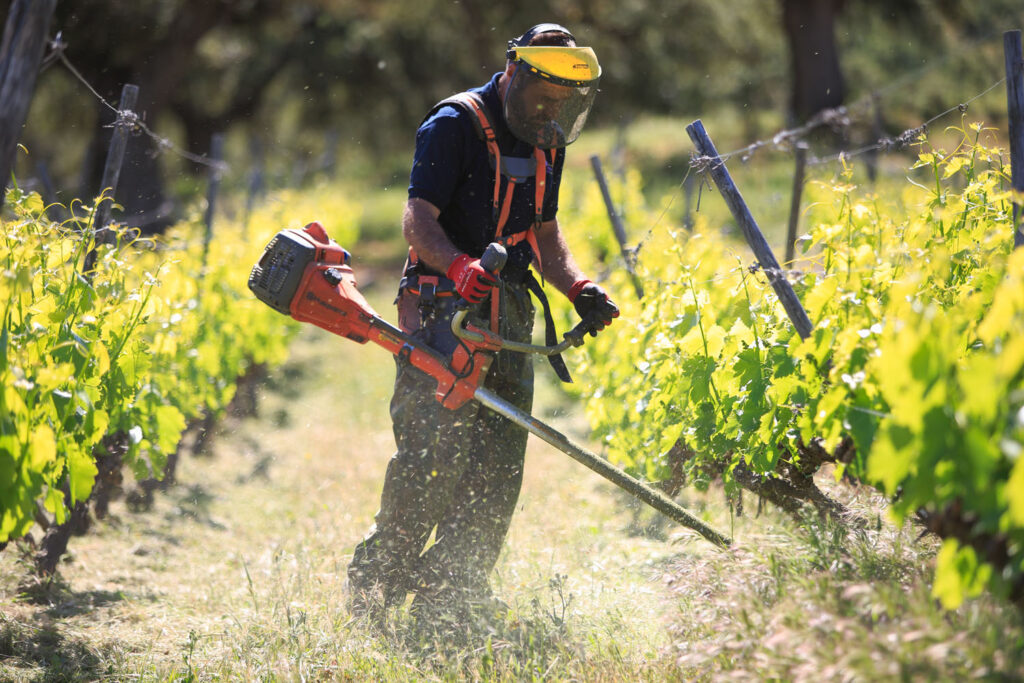 A man in an orange shirt and black hat is using a hedge trimmer.