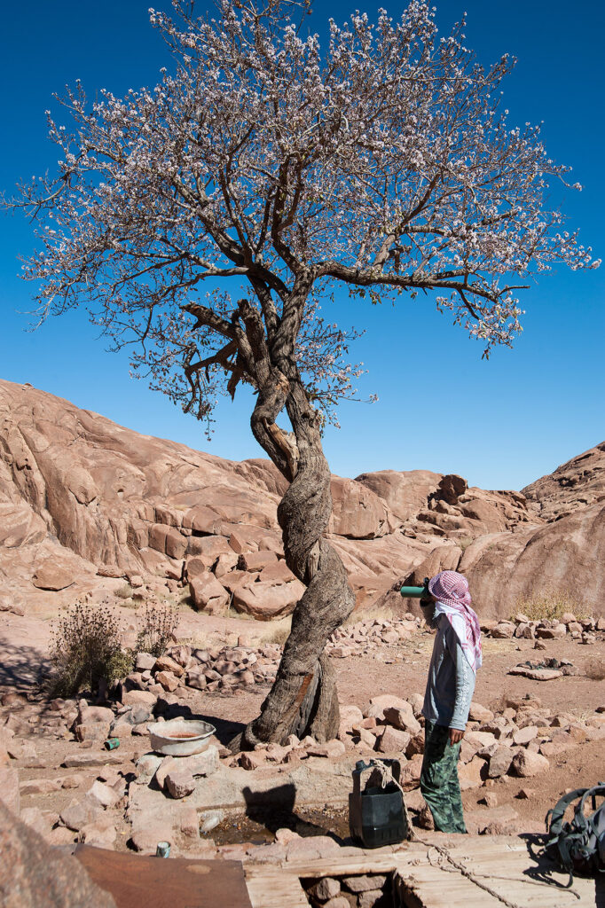 Claudia Wiens Documentary, NGO, People Portrait Social Responsibility, Social Enterprise German Photographer Photography EGYPT, SINAI: Spring with drinking water. The town of Saint Catherine lies 1600m above sea level at the foot of the Sinai mountains. Mostly know for its famous Greek-orthodox monastery and Mount Sinai. But the region offers many peaks and valleys, gardens and many religious sites that you can explore walking or hiking. The region is a UNESCO World Heritage Area for its natural and cultural importance.