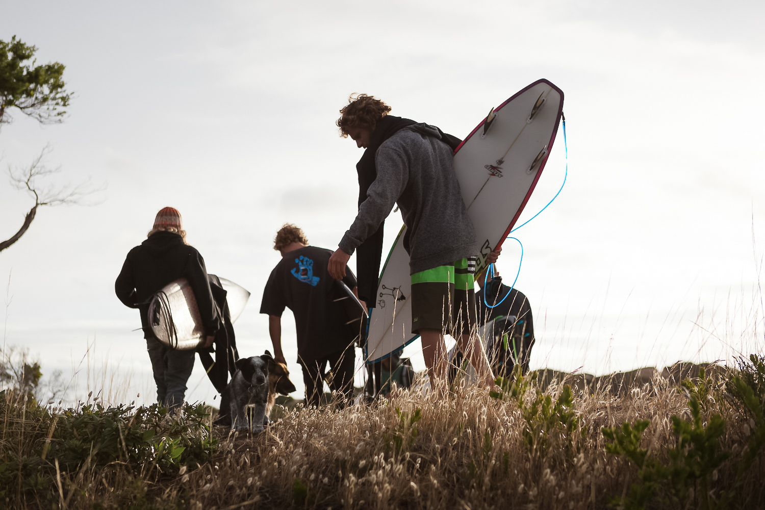 A group of people with surfboards in the grass.